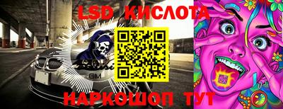 амф Сланцы