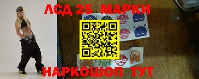 амф Сланцы