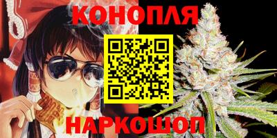 амф Сланцы