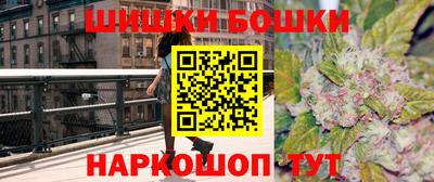 амф Сланцы